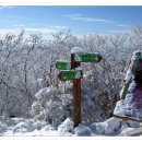 2월12일(월요일)[07:00출발] 장수○장안산(1,237m) ☆100대명산 ♧눈꽃세상 이미지