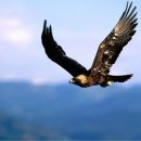 마음의 문 이미지