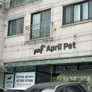 에이프릴펫 이미지