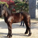 마당목장 이미지