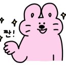 래쉬디쉬