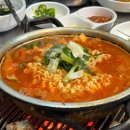 제주 한라돈