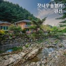 잣나무솔향기