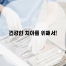 365서울탑플란트치과의원 네이버블로그