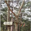 용인산우회 2013년 3월31일 경남산청 왕산,필봉산 산행 이미지