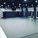 팀크러쉬주짓수