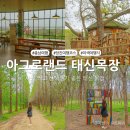 태신농장 | 당진 여행지 아그로랜드 태신목장 (포토존, 카페, 코스 추천)