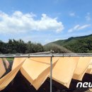 때깔천연염색연구소