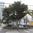 @ 서울 도심 성당 나들이, 중림동약현성당~원효로예수성심성당 ＜동막큰우물터, 용강동 정구중가옥＞ 이미지