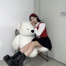 Stay maca 이미지