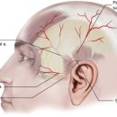 모아이의원 이미지