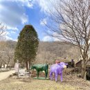 부농목장 | 경기도 여주 은아목장 아이와 여행 코스 추천