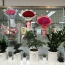 신양타운 | 졸업식 발렌타인데이 안산중앙역꽃집 추천 안산 꽃다발 잘하는 곳 꽃블리 후기