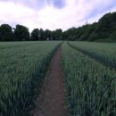 우연공인중개사사무소 이미지