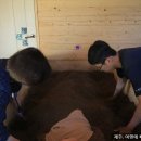 숲속야영장 휴림 네이버블로그