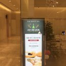 강남스파 | 역삼피부관리 더트리니티스파 트리플 콜라겐 플럭스 강남스파 후기