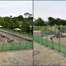 꽃사슴화원 이미지