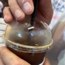 부평동물약국 | 📍 (내돈내산) 부산 부평깡통야시장, 비프광장, 남포동거리까지 다 돌아본 후기🧡부산 야시장 먹거리...