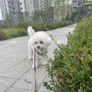윤또바기