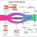 이연약국 이미지