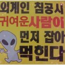 오밀조밀 네이버블로그