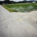 세일이엔지