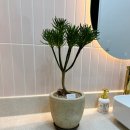 신시메디의원 이미지