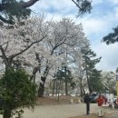 6132 | 🌸🐤 과천 대공원 맛집! 오리주물럭 또또또간집 [대공원 포도밭] 후기