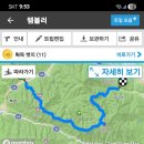 대종