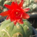 귀선농장 이미지