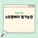 완주농장 | 조카랑 다녀온 완주 스트롱베리 딸기농장 스마트팜 체험 후기 (단체 체험 가능 / 전주 에코시티·삼봉...