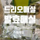매실_청매실_매실추천_드리오매실_발효 매실_똥매실_제품_리뷰_후기