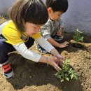 성애어린이집 네이버블로그