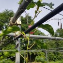 한실농장 이미지