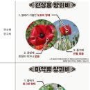 제주시 서부보건소 이미지