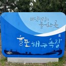 보성 아이랑 가볼만한 곳 (율포솔밭해수욕장 갯벌체험 ,율포해수녹차센터)+간조시간확인법