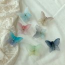 예쁠 연 - 포항시 남구 | 예쁠 연
