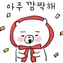 큐티펫 이미지