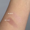 배티로 | 투슬래시포 블러셔 리뷰 (배티 베이지 대체템 추천까지)