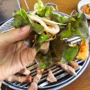 목마식당 | [제주 서귀포 표선] 제주 서귀포 맛집 표선 말고기 맛집 고수목마식당 솔직후기