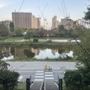 정자역6번출구 | [분당 정자역 카타리나 카페] 영국 2층 버스 느낌의...디저트 맛집! 휘낭시에·할로윈쿠키 솔직후기🎂