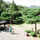 순애네