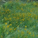 큰승주약국 이미지