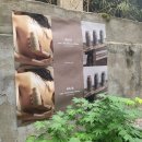 플로르 스토어 | 서울 성수 5월 팝업스토어 후기 (아비브, 뉴트로지나, 플로르, 닥터지)