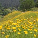 이월드 관광안내소 이미지