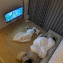 [ 춘천 펜션 ] 숨은 힐링스팟 &#39;아침햇살스테이&#39; 바베큐&amp;불멍 가능한 천연잔디 독채펜션 후기(최대 6인가능)