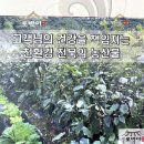 토지한식부페 이미지