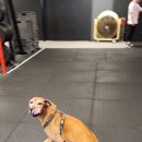 AKA 크로스핏 이미지