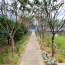 반월호수온도 이미지