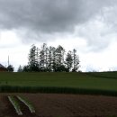 비에이(B/A) 이미지